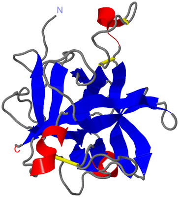 Image Asymmetric Unit