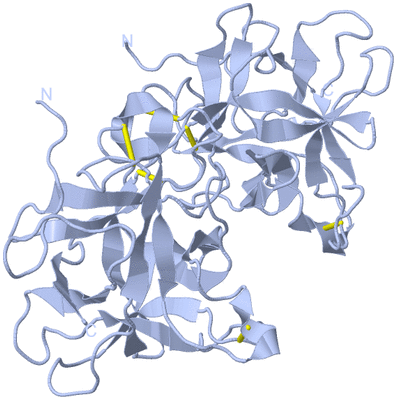 Image Biological Unit 1