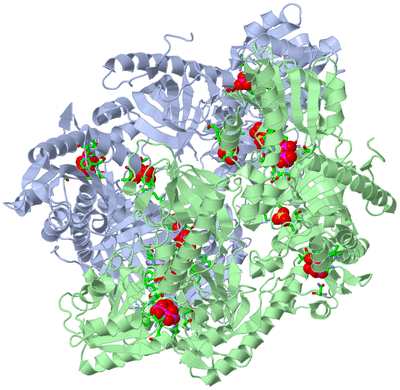 Image Biol. Unit 1 - sites