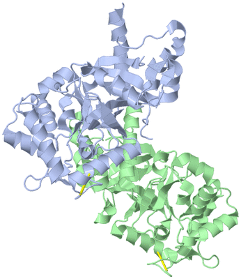 Image Asymmetric Unit