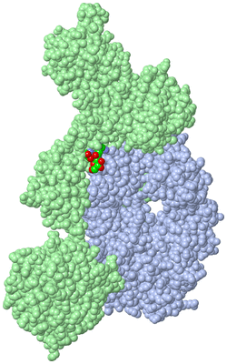 Image Asym./Biol. Unit - sites