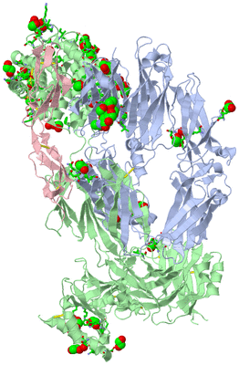 Image Asym./Biol. Unit - sites