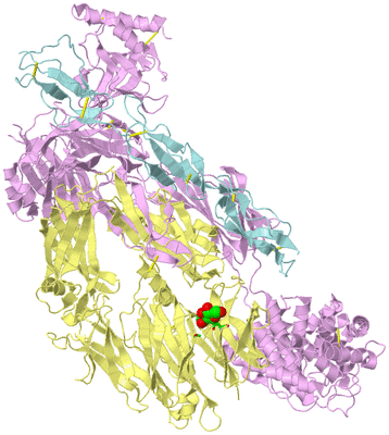 Image Biol. Unit 1 - sites