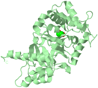 Image Biological Unit 2