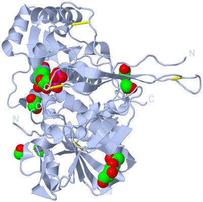 Image Biological Unit 1