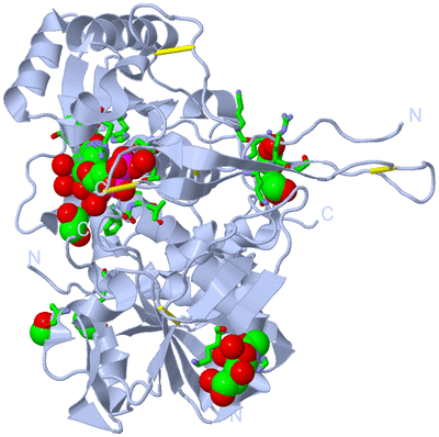 Image Biol. Unit 1 - sites