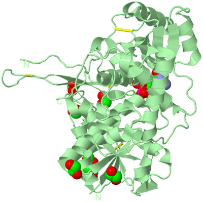 Image Biological Unit 2