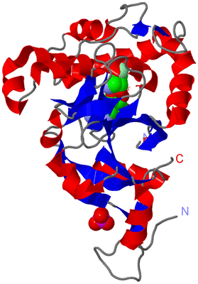 Image Asymmetric Unit