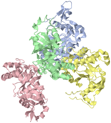 Image Asymmetric Unit