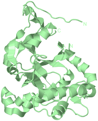 Image Biological Unit 2