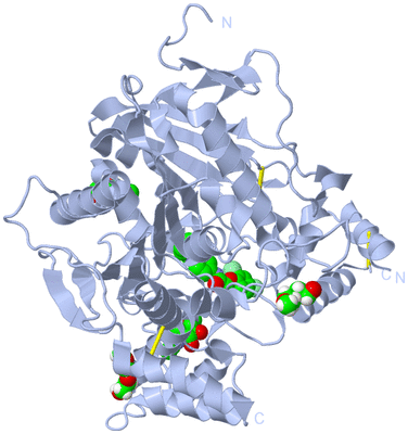 Image Biological Unit 1