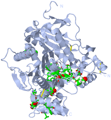 Image Biol. Unit 1 - sites