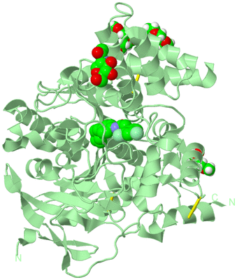 Image Biological Unit 2