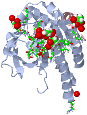 Image Asym./Biol. Unit - sites