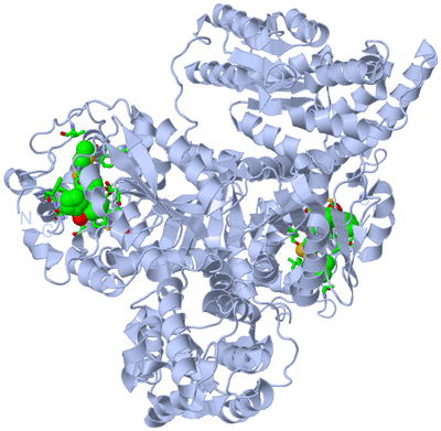 Image Biol. Unit 1 - sites