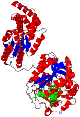 Image Asym. Unit - sites