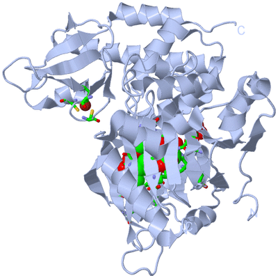 Image Biol. Unit 1 - sites