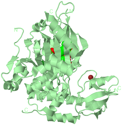 Image Biological Unit 2