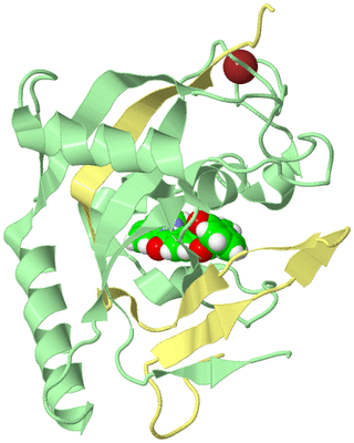 Image Biological Unit 1