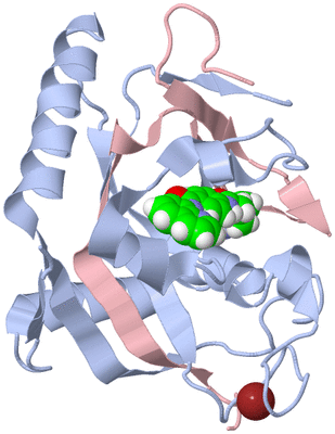 Image Biological Unit 2