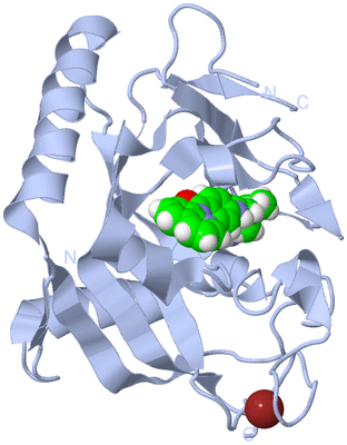 Image Biological Unit 1