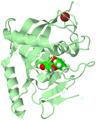 Image Biological Unit 2