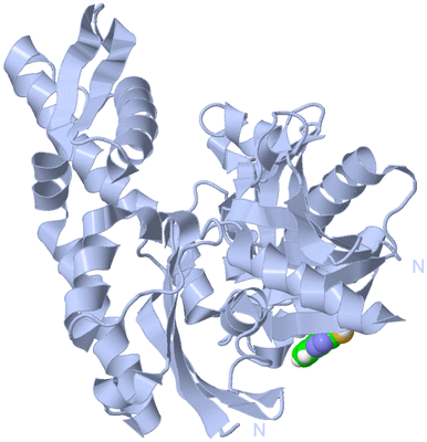 Image Biological Unit 1