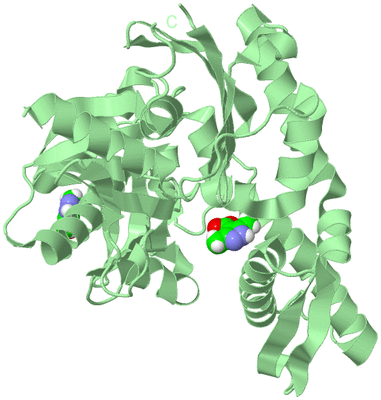 Image Biological Unit 2