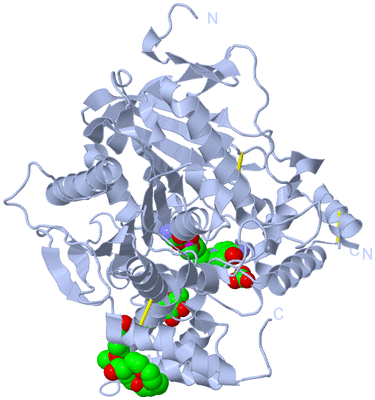 Image Biological Unit 1