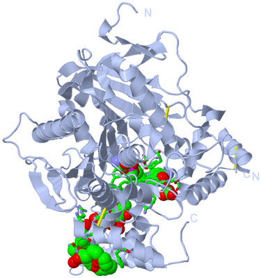 Image Biol. Unit 1 - sites