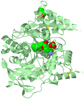 Image Biological Unit 2