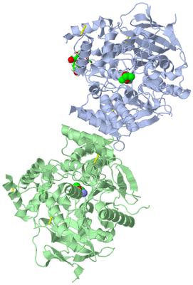 Image Biol. Unit 1 - sites