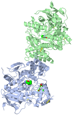 Image Biological Unit 2