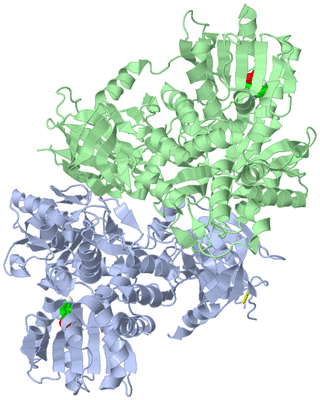 Image Asym./Biol. Unit