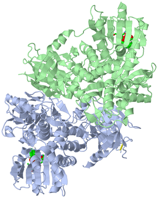 Image Asym./Biol. Unit - sites