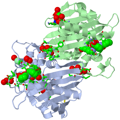 Image Asym./Biol. Unit - sites