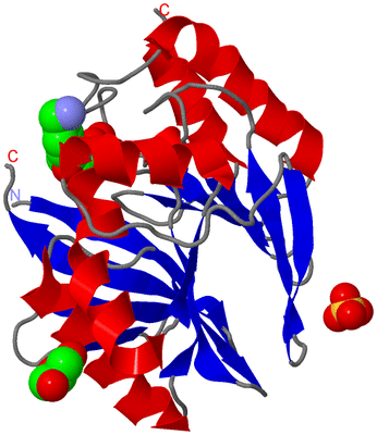 Image Asym./Biol. Unit