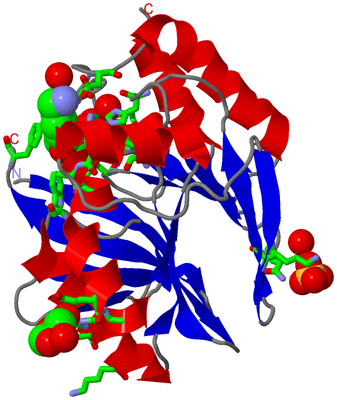 Image Asym./Biol. Unit - sites