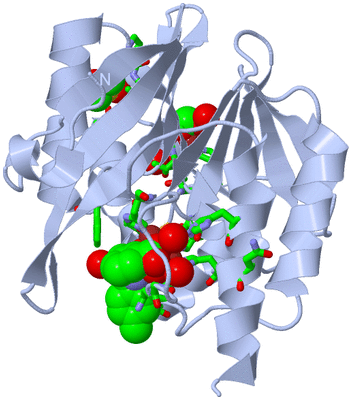 Image Biol. Unit 1 - sites