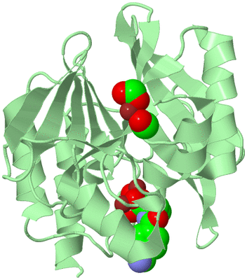 Image Biological Unit 2