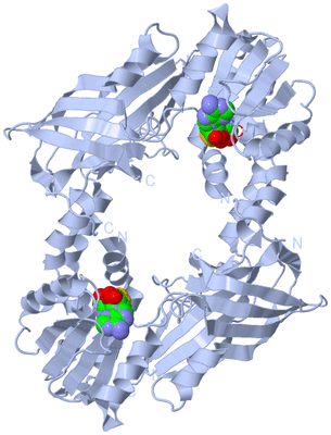 Image Biological Unit 1