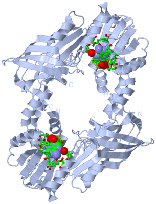 Image Biol. Unit 1 - sites