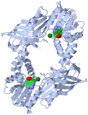 Image Biological Unit 1