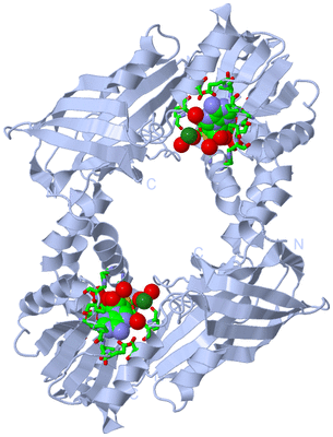 Image Biol. Unit 1 - sites