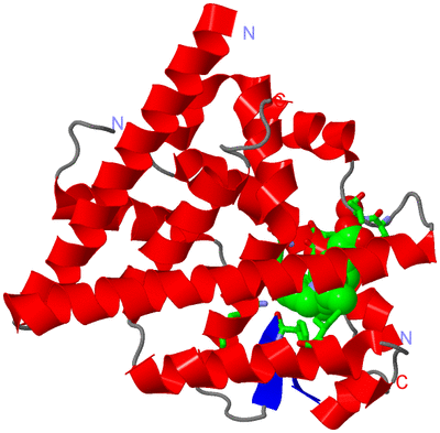 Image Asym. Unit - sites