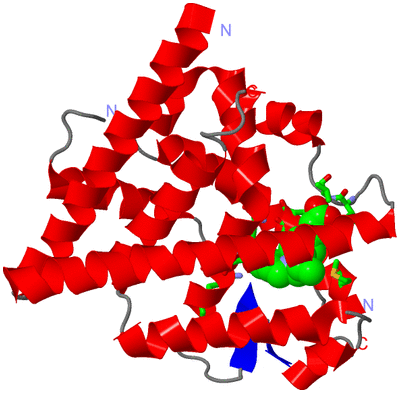 Image Asym. Unit - sites