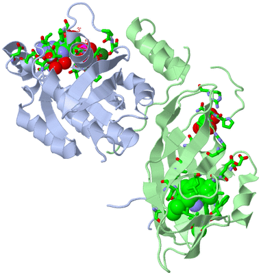 Image Asym./Biol. Unit - sites