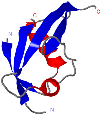 Image Asymmetric Unit