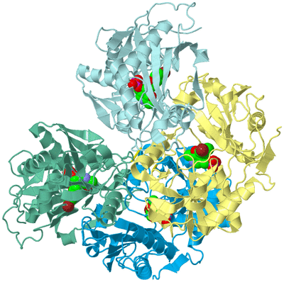 Image Biological Unit 1