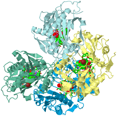 Image Biol. Unit 1 - sites